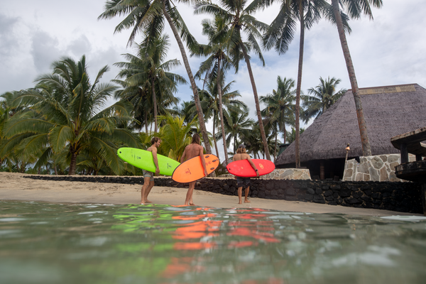 The Surfing World Has Gone SOFT!